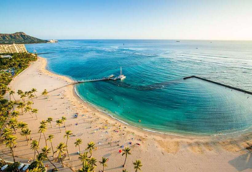 فندق Hilton Hawaiian Village Waikiki Beach Resort