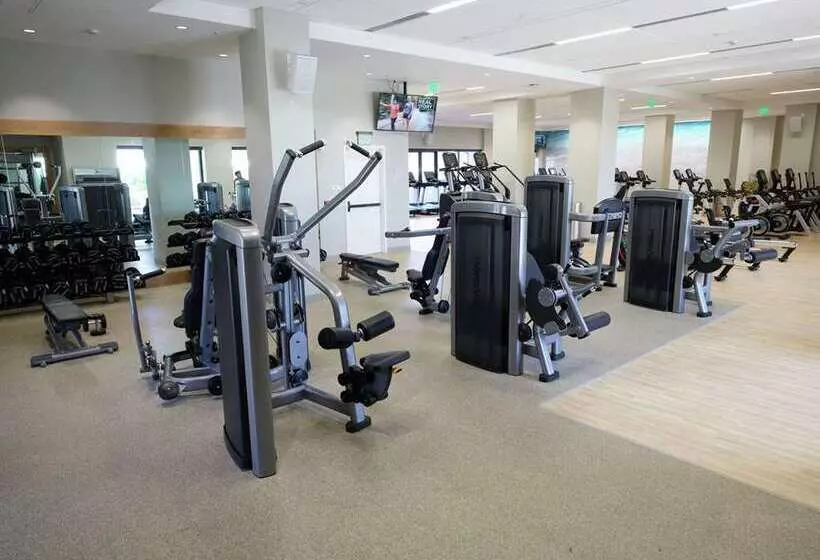 هتل Hilton Hawaiian Village Waikiki Beach Resort