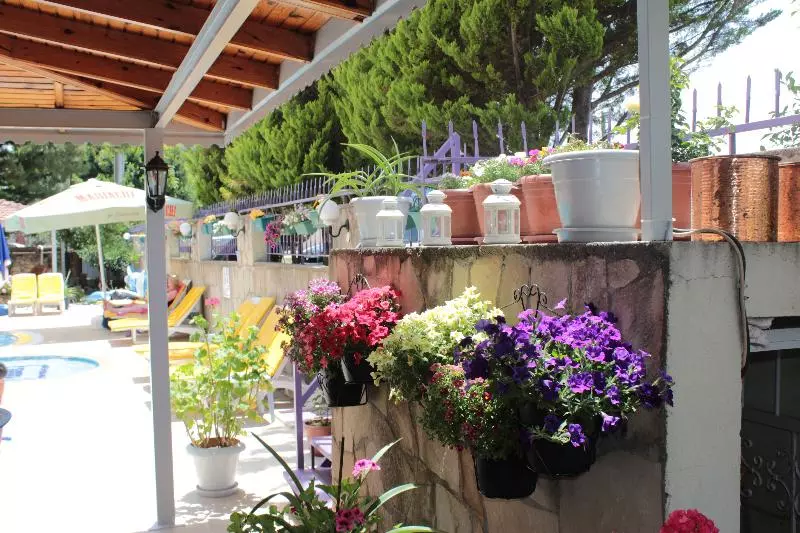 酒店 Victoria Princess Apart