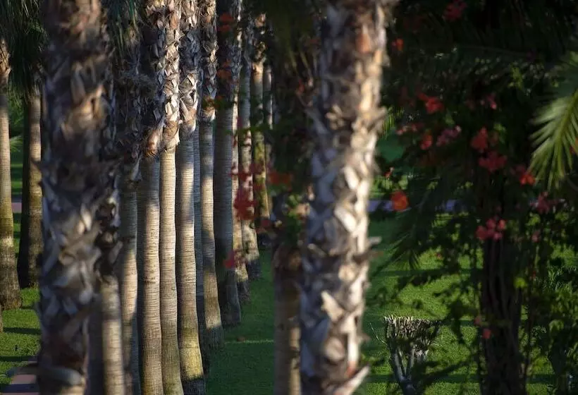 Miramare Beach Hotel   Ultra All Inclusive