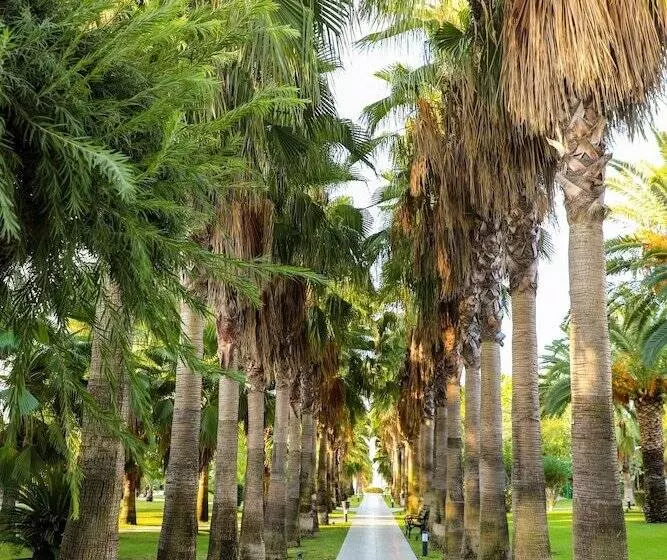 Miramare Beach Hotel   Ultra All Inclusive