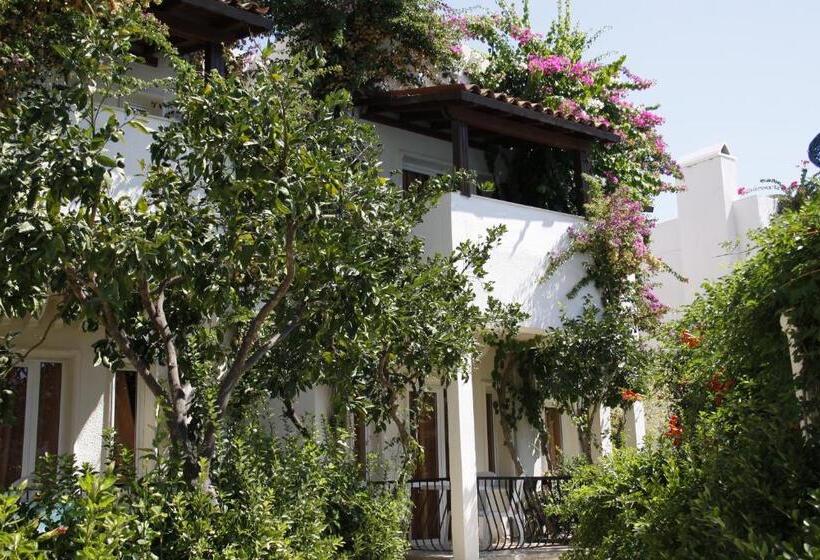 Summer Garden Suites Beach