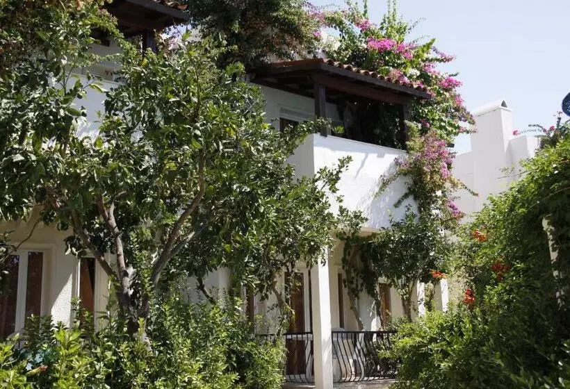 Summer Garden Suites Beach