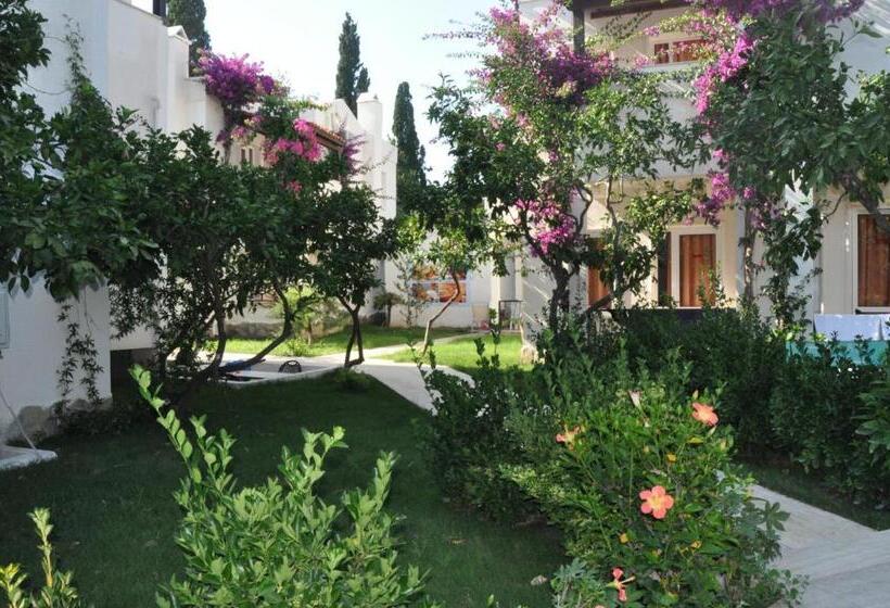 Summer Garden Suites Beach