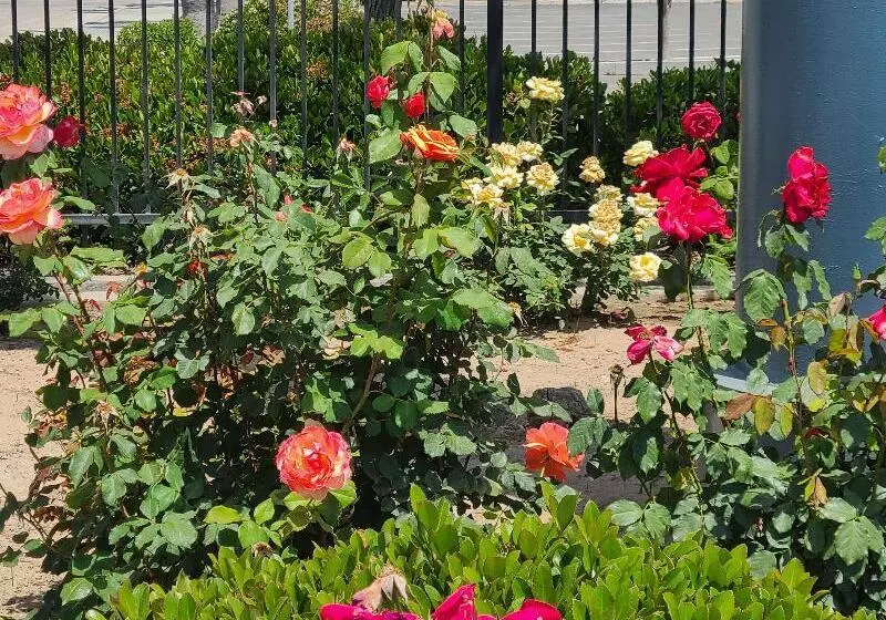 Surestay Hotel By Best Western Chowchilla Yosemite