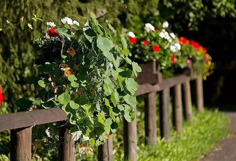 Lomakeskus Haus 2   Typ C