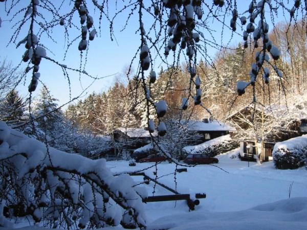 אתר נופש Haus 2 Typ C