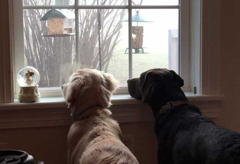 צימר Crystal Run Suites Of Springboro