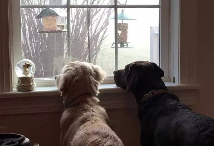 Aamiaismajoitus (B&B) Crystal Run Suites Of Springboro