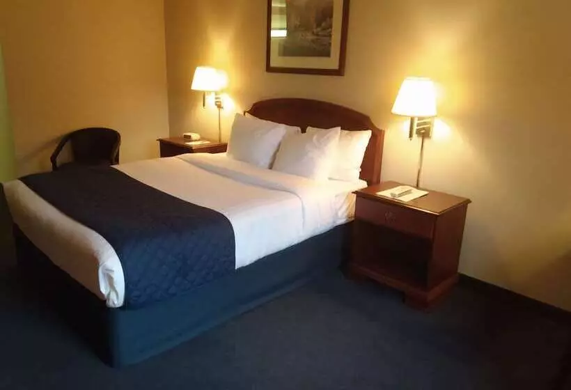 ホテル Dawson Inn