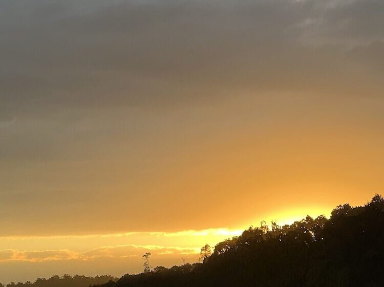 Отель Dawson Inn