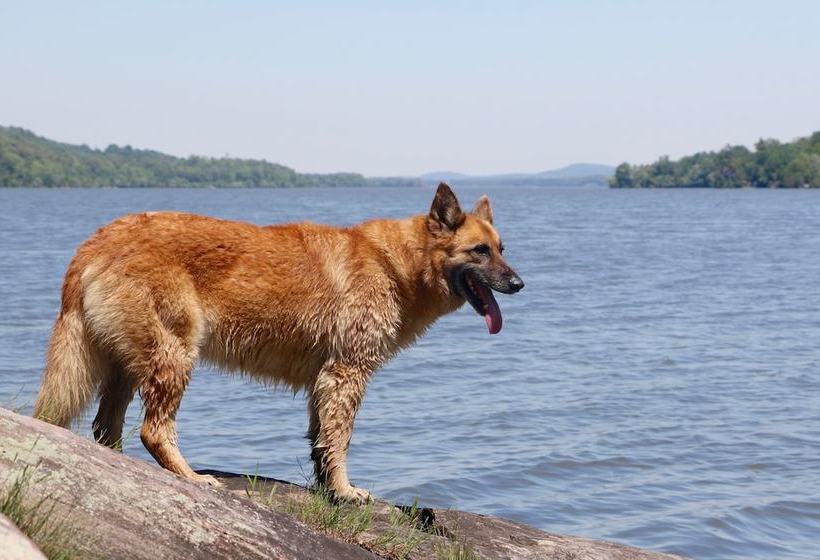 Сельский отель The Inn On Lake Champlain