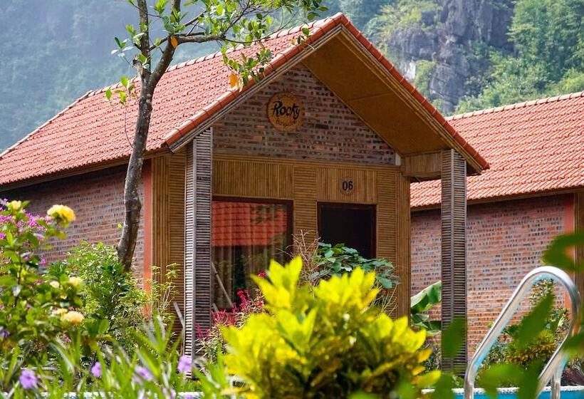 هتل Tam Coc Rocky Bungalow