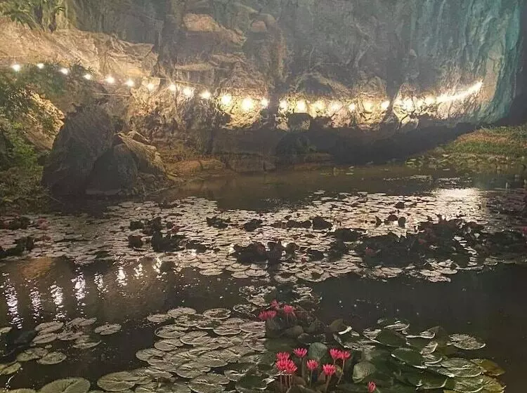 هتل Tam Coc Rocky Bungalow