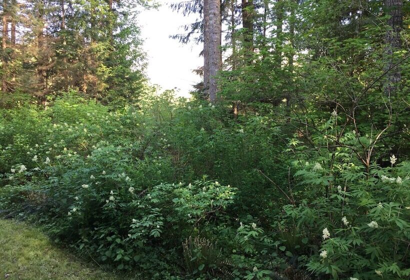 Mt. Baker Lodging Cabin 54 – Mt View, Wifi, Sleeps 6! By Mbl