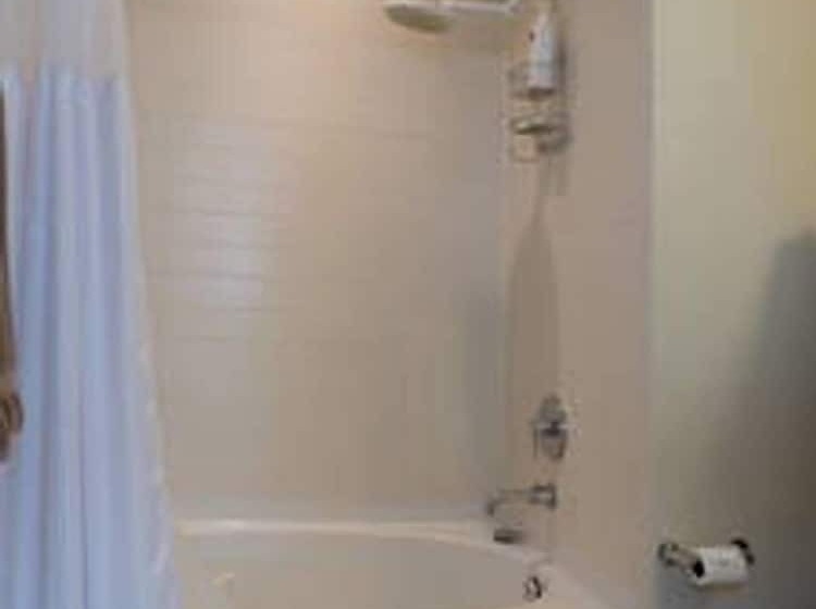 The Mile High Townhome Walk To The Stadium