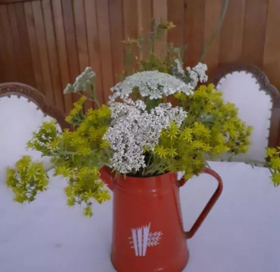 پانسیون Casa Insorita