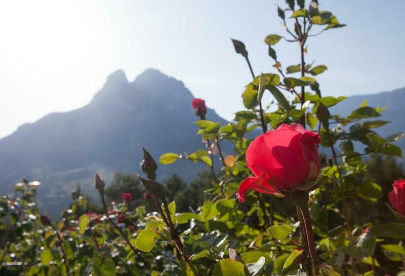 Пансион Hostal Rural Cal Xic Saldes