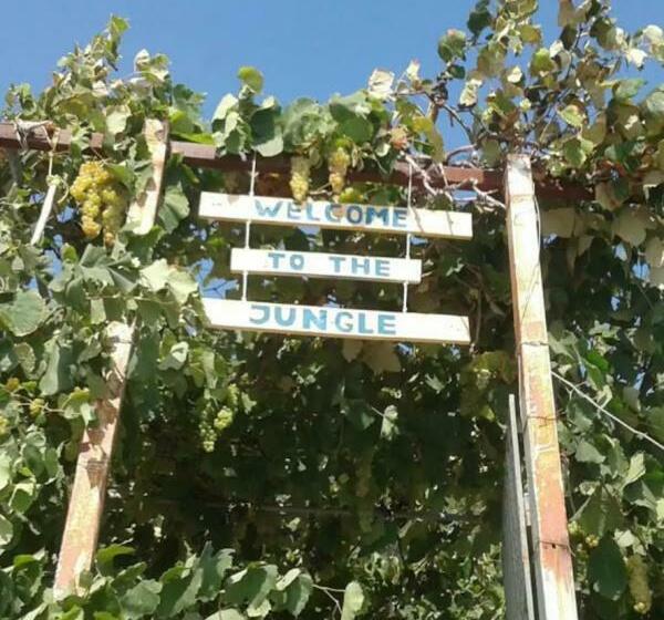 پانسیون Jungle House