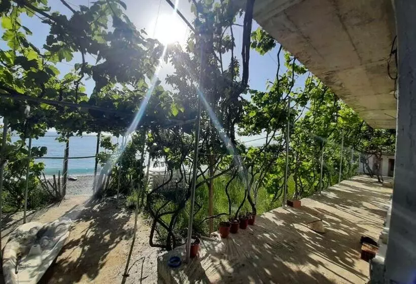 Majatalo Jungle House