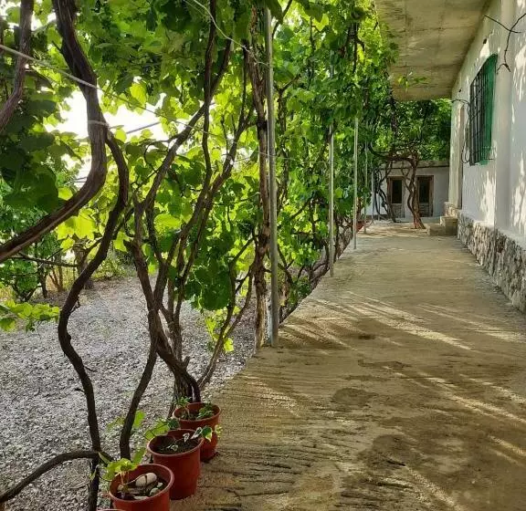 Majatalo Jungle House