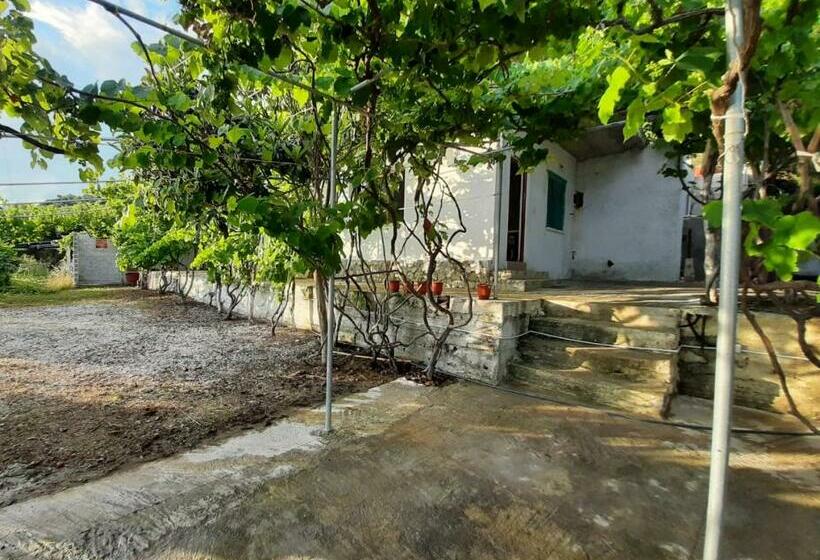 پانسیون Jungle House