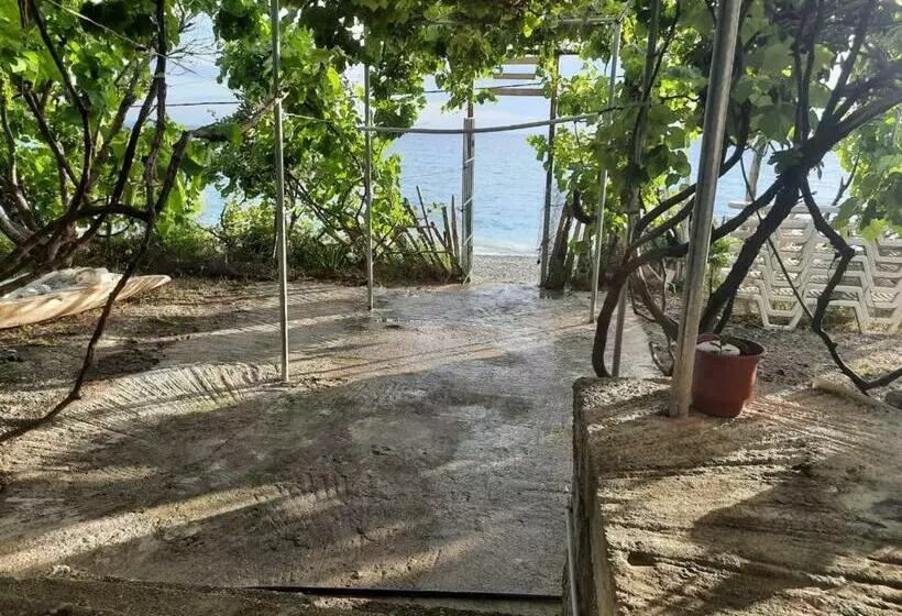 Majatalo Jungle House