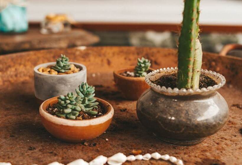 پانسیون Vila Trancosear