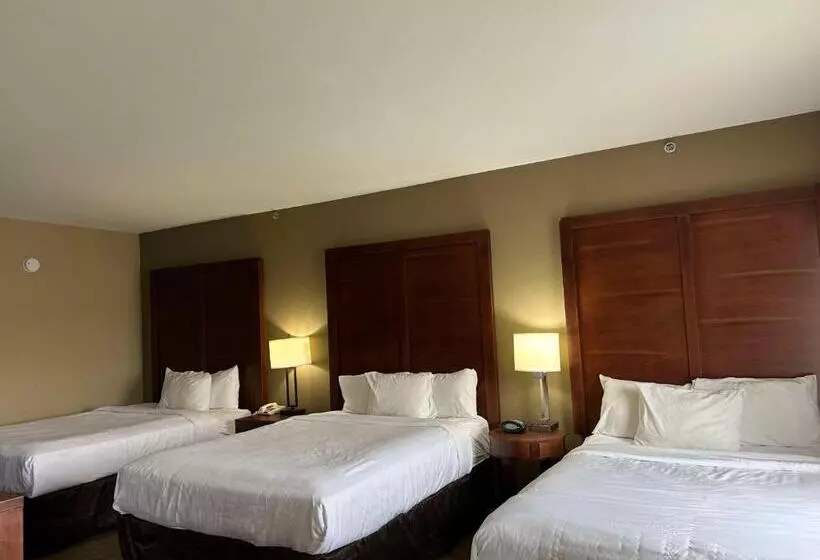 호텔 Vista Suites Near Leconte Convention Center