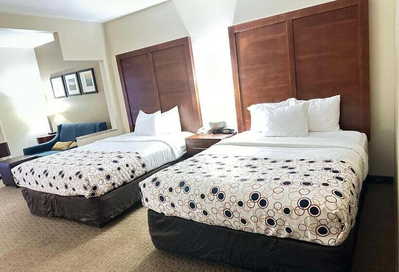 Otel Vista Suites Near Leconte Convention Center