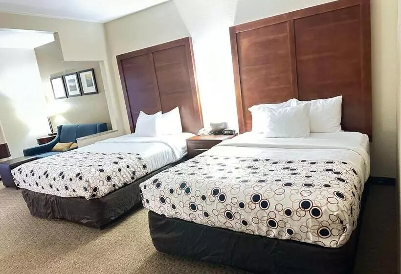 호텔 Vista Suites Near Leconte Convention Center