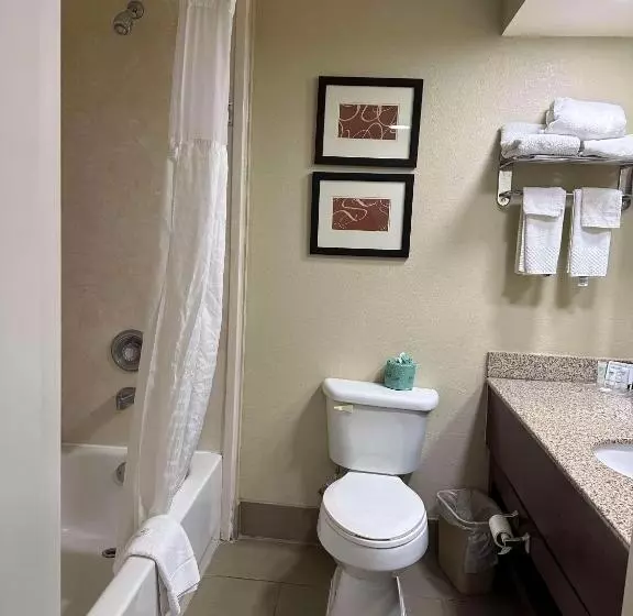 호텔 Vista Suites Near Leconte Convention Center