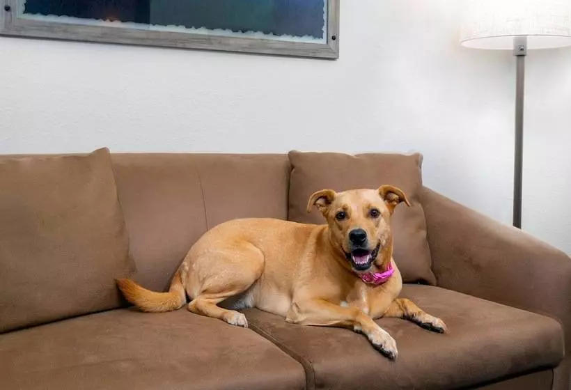 Отель Fairfield Inn And Suites By Marriott Clearwater