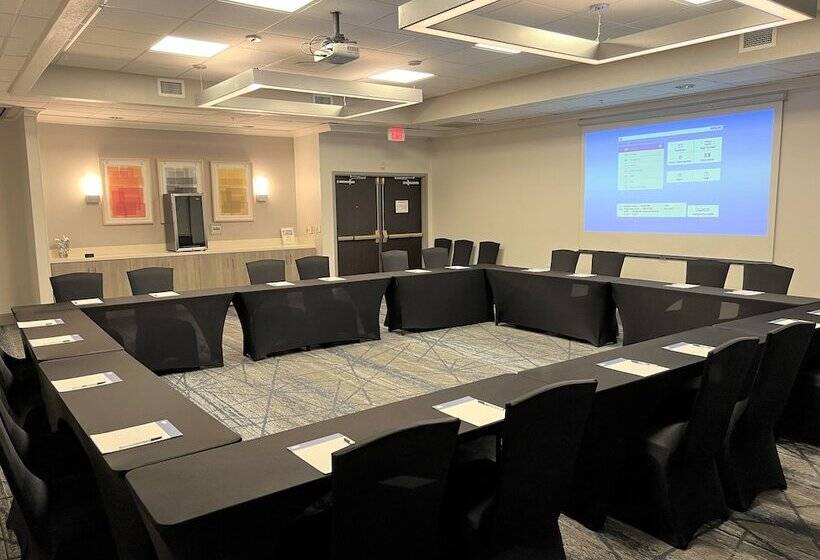 Hotel Holiday Inn Express And Suites Tampa I 75 At Bruce B. Downs, An Ihg