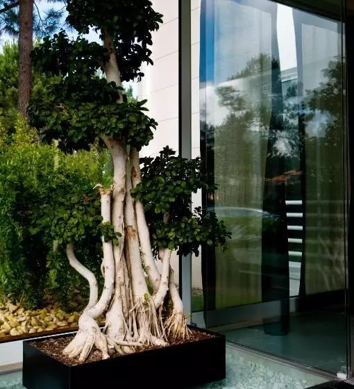 Отель Miravillas