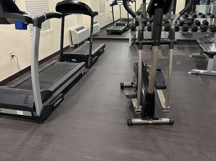 Otel Vista Suites Near Leconte Convention Center