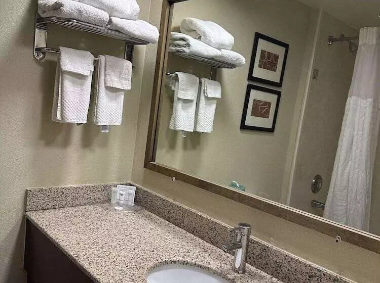 호텔 Vista Suites Near Leconte Convention Center