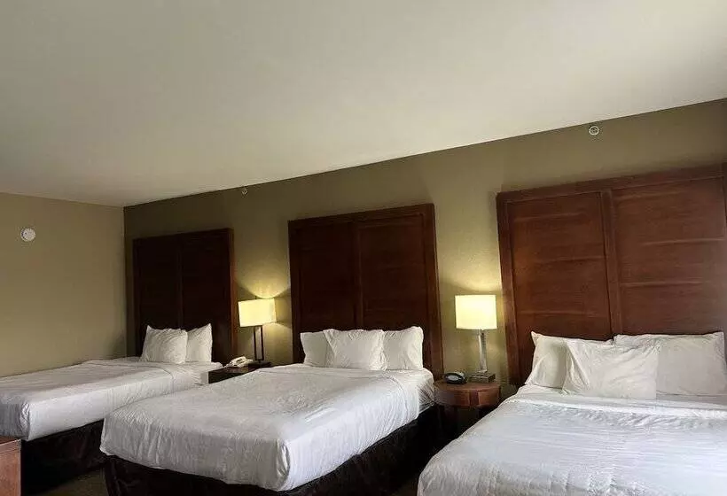 호텔 Vista Suites Near Leconte Convention Center