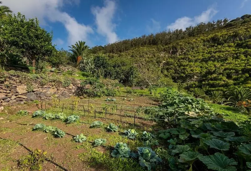 Las Casas Del Chorro