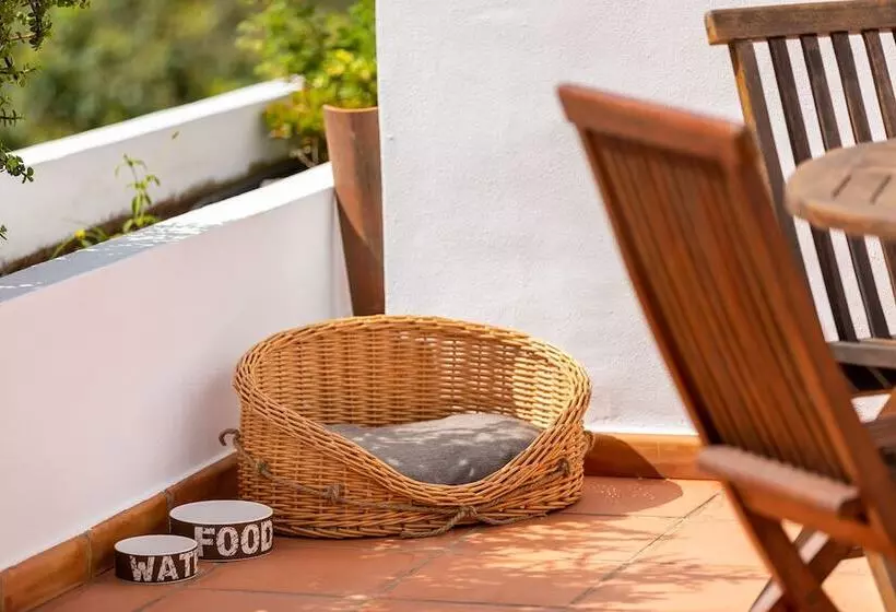 Las Casas Del Chorro