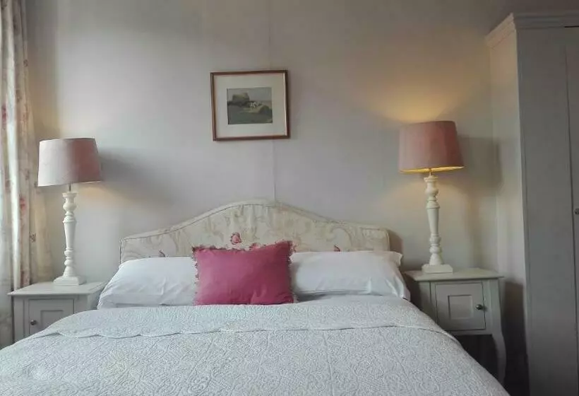 هاستل The Merlin