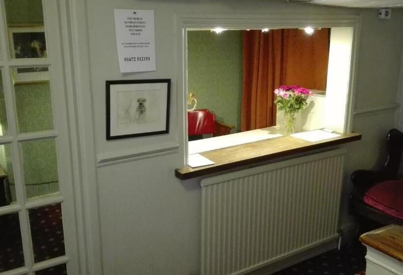 הוסטל The Merlin