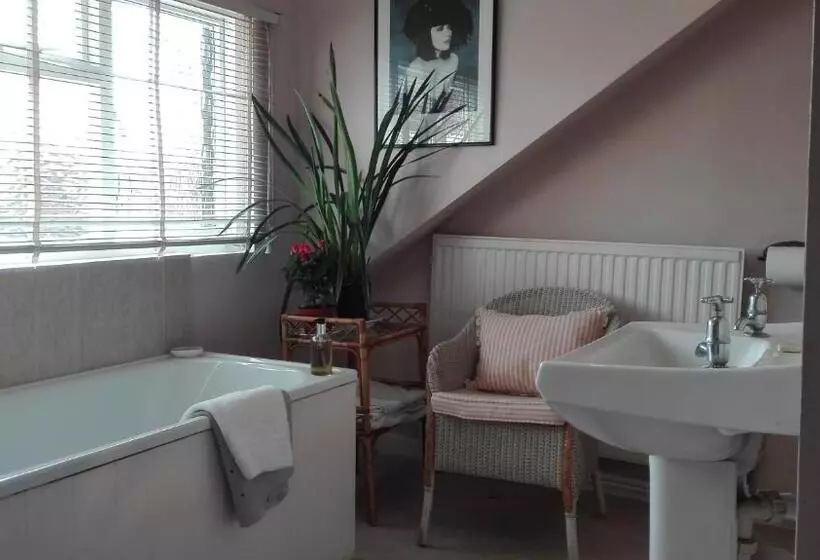 هاستل The Merlin