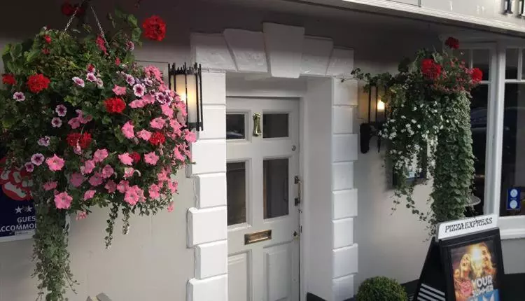 هاستل The Merlin