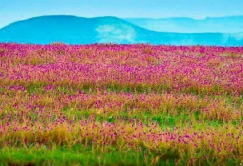 ホテル Vamoose Laxmi Hill Resort