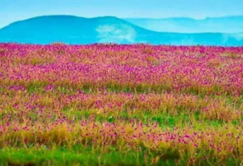 Hotelli Vamoose Laxmi Hill Resort