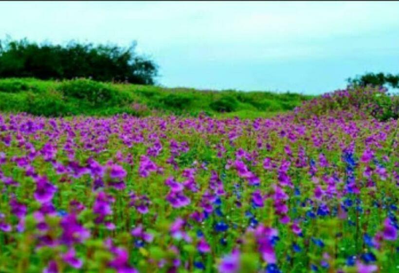 ホテル Vamoose Laxmi Hill Resort