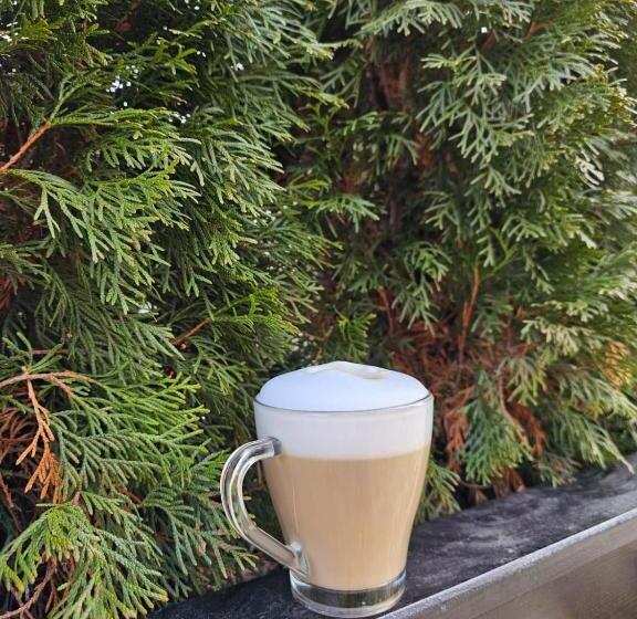 بنسيون Casa Albert Sinaia