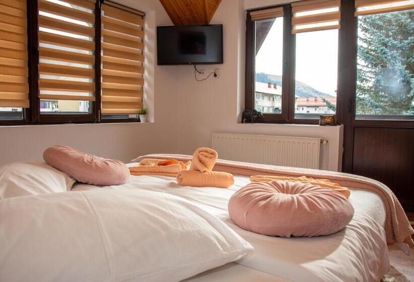 بنسيون Casa Albert Sinaia