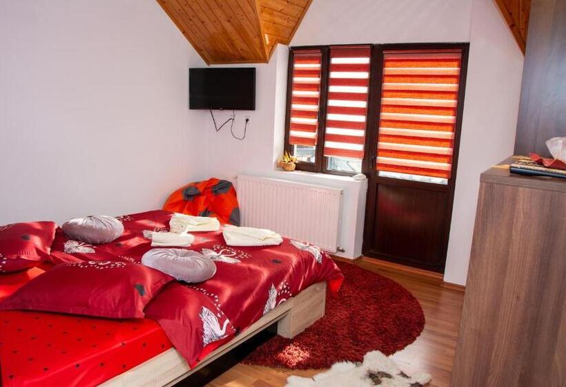 بنسيون Casa Albert Sinaia